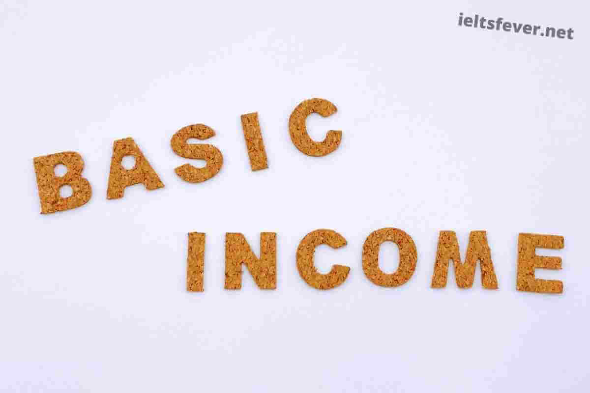 The Governments Should Give Each Citizen a Basic Income so That They Have Enough Money to Live On (1)