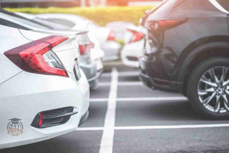 The Manufacturing and Use of Cars Damage the Environment but Their