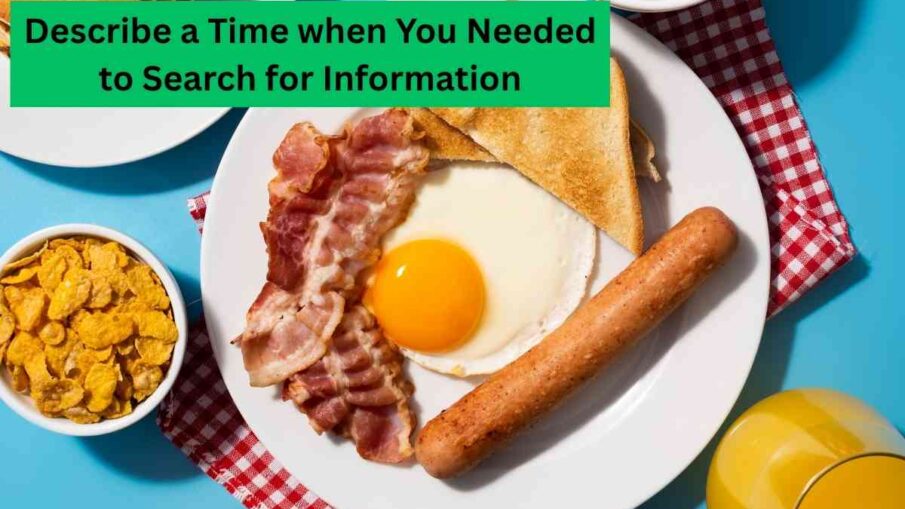 Describe a Time when You Needed to Search for Information